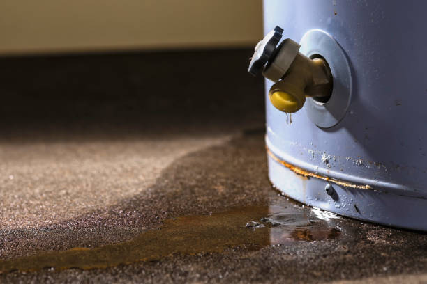 Best Water damage contractors near me  in Lincoln, AR