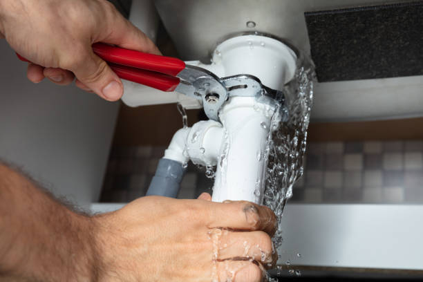 Best Flooded house restoration  in Lincoln, AR