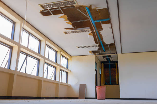 Best Flooded house restoration  in Lincoln, AR