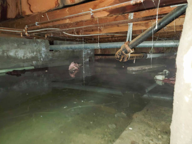  Lincoln, AR Water damage restoration Pros