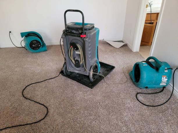 Best 24-hour water damage restoration  in Lincoln, AR
