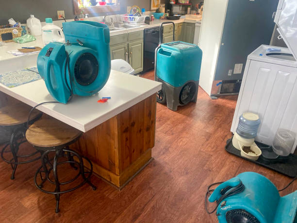 Best Sewage cleanup and water damage restoration  in Lincoln, AR