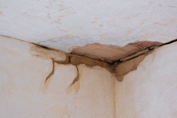 Best Residential water damage restoration  in Lincoln, AR