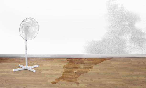 Professional Water damage restoration in Lincoln, AR