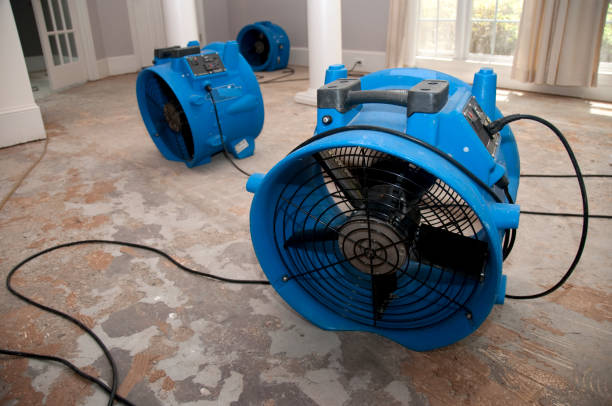 Best Water damage cleanup near me  in Lincoln, AR