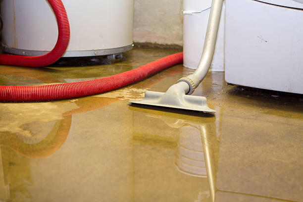 Best Water damage restoration insurance claims  in Lincoln, AR