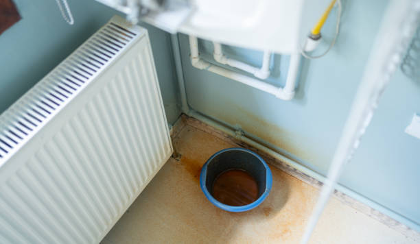 Best Flood restoration services  in Lincoln, AR
