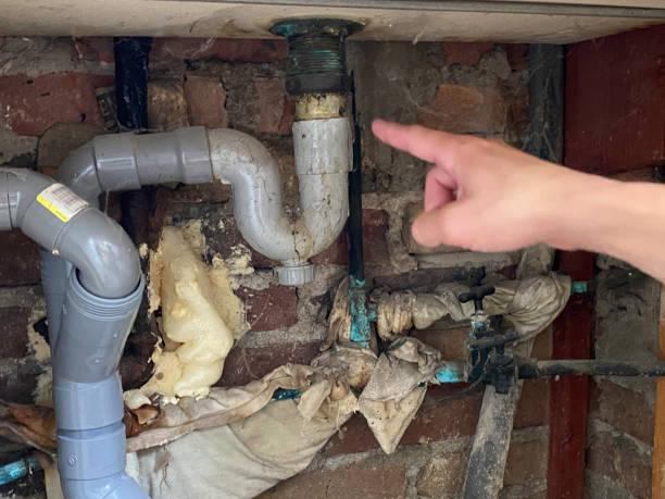 Best Professional water damage repair  in Lincoln, AR