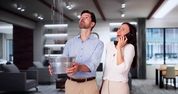 Best Water damage cleanup near me  in Lincoln, AR