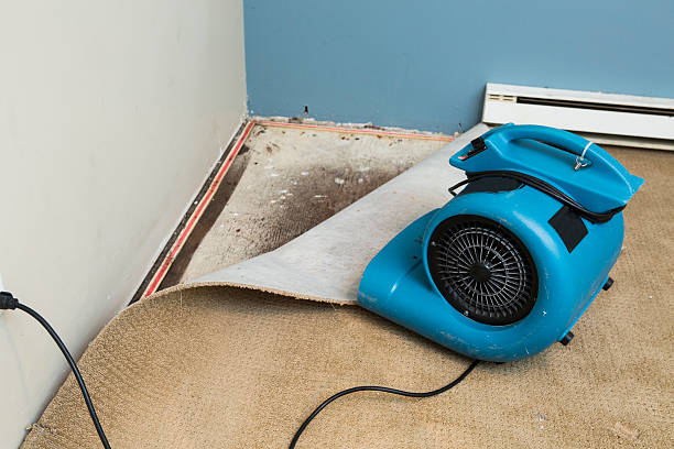Sewage cleanup and water damage restoration in Lincoln, AR